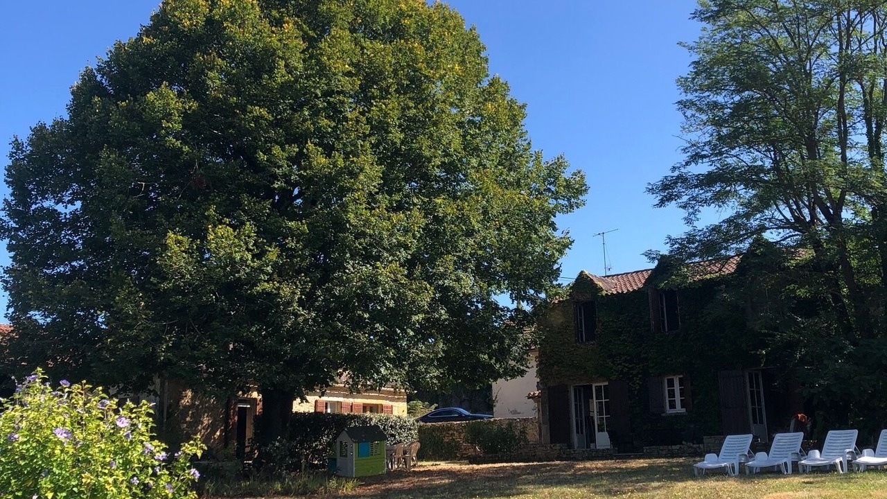 Photo of Outdoor in Cales