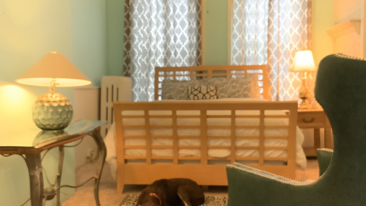 Photo of Bedroom in Robinson