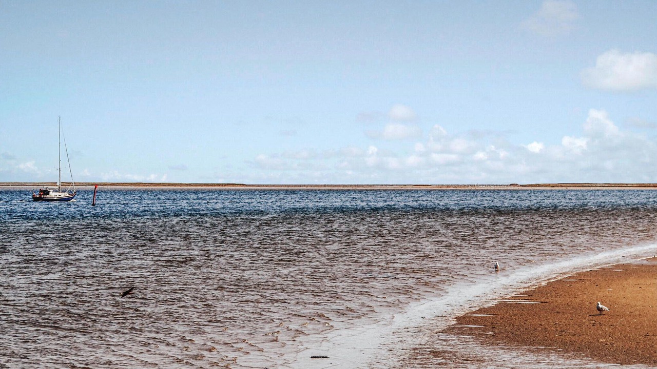 Photo of Others in Ørsted