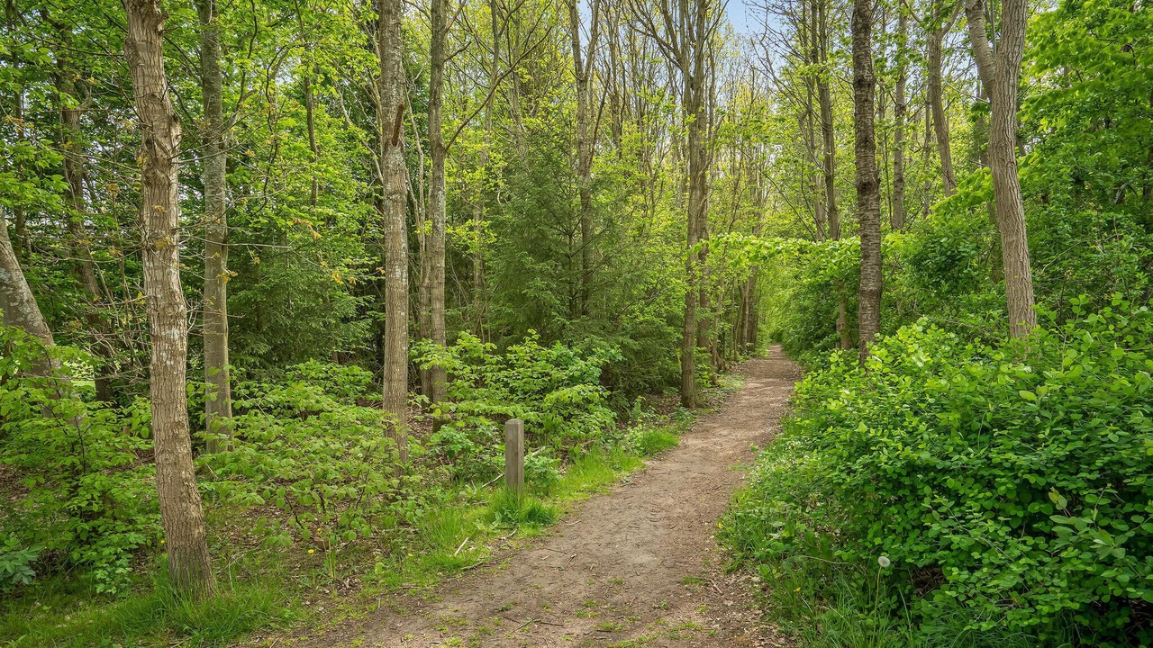 Photo of Others in Fredericia