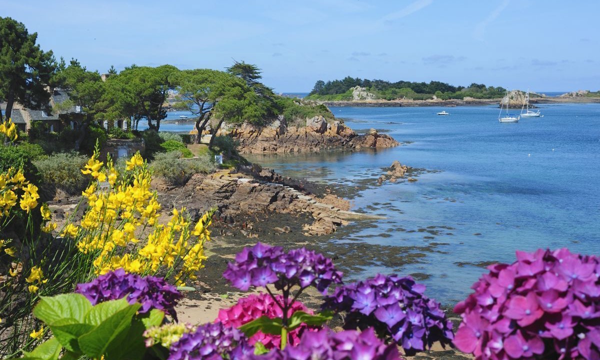 Photo of Others in Pommerit-le-Vicomte