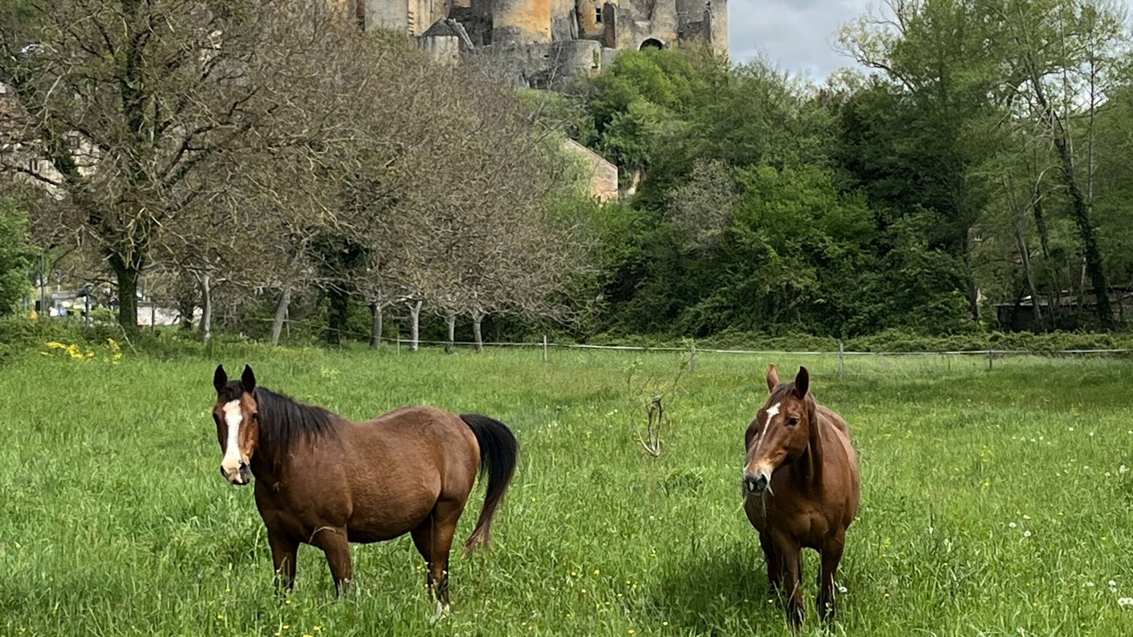Photo of Outdoor in Monflanquin