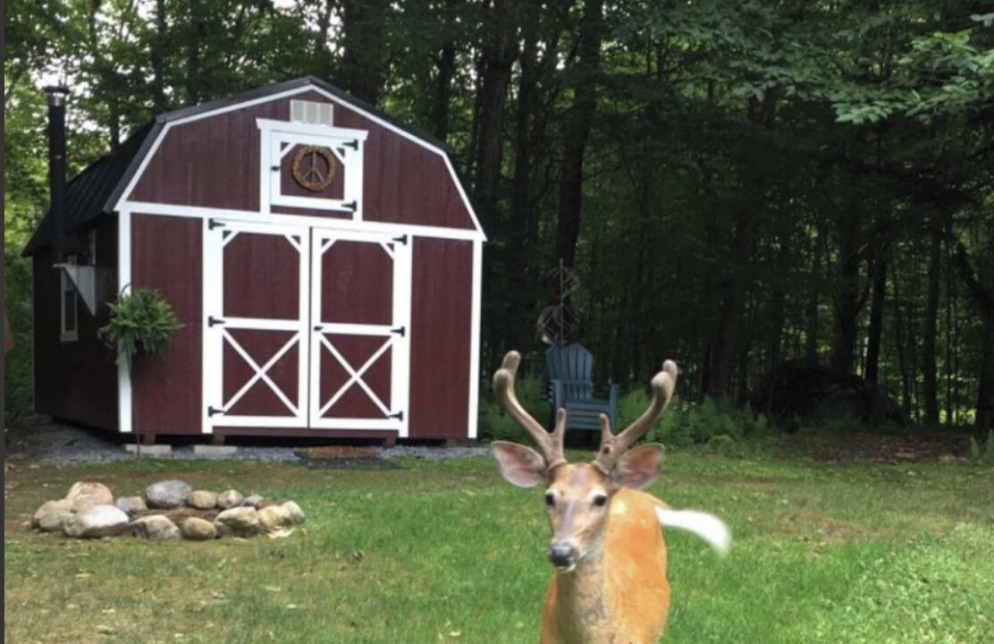 Photo of Outdoor in Town of Webb