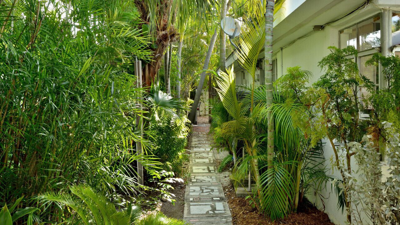Photo of Others in Key West