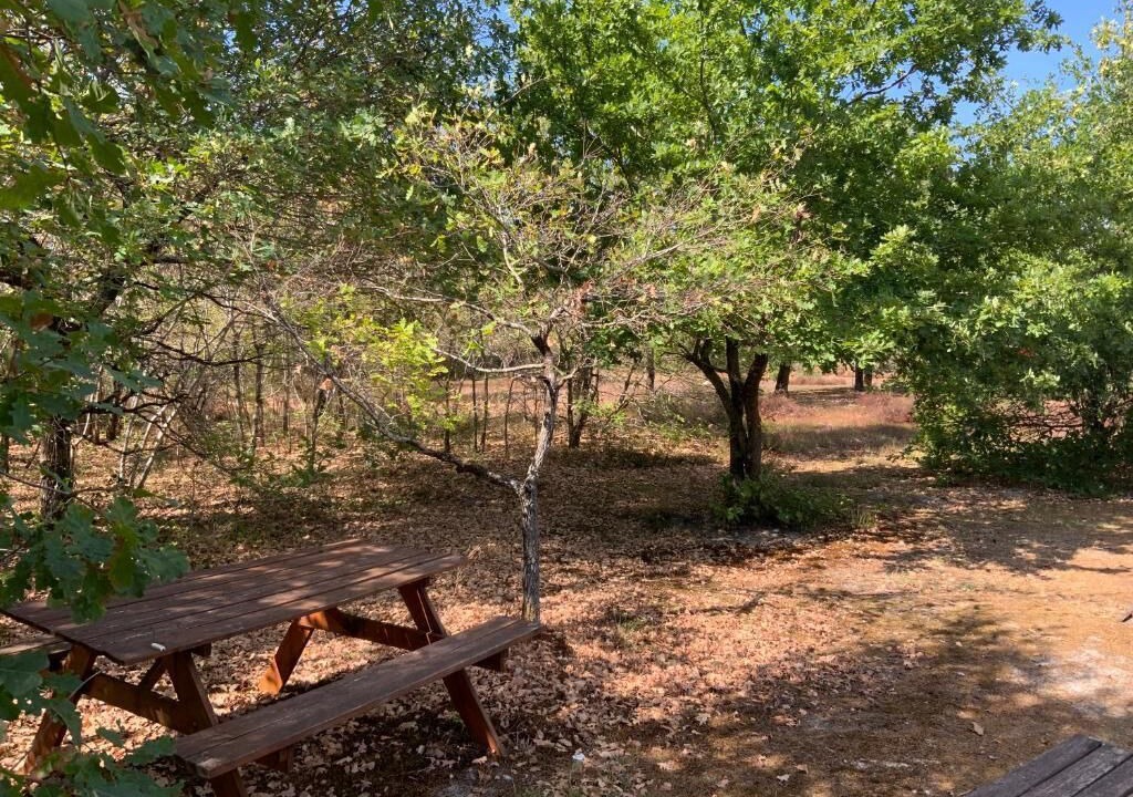 Photo of Outdoor in Commensacq