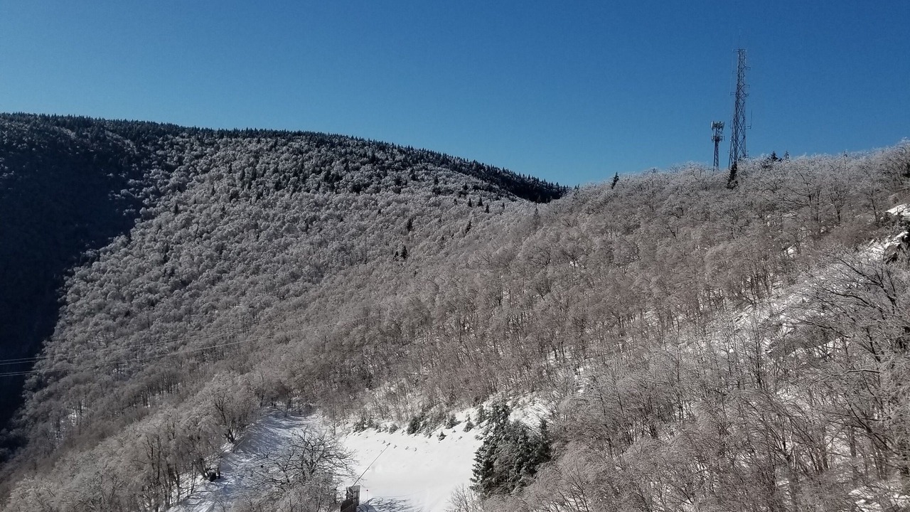 Photo of Others in Hunter