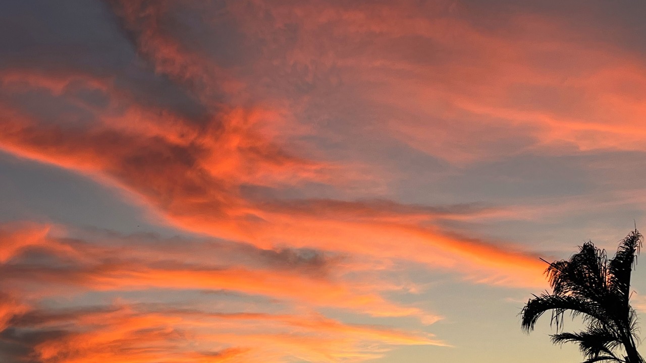 Photo of Others in East San Mateo