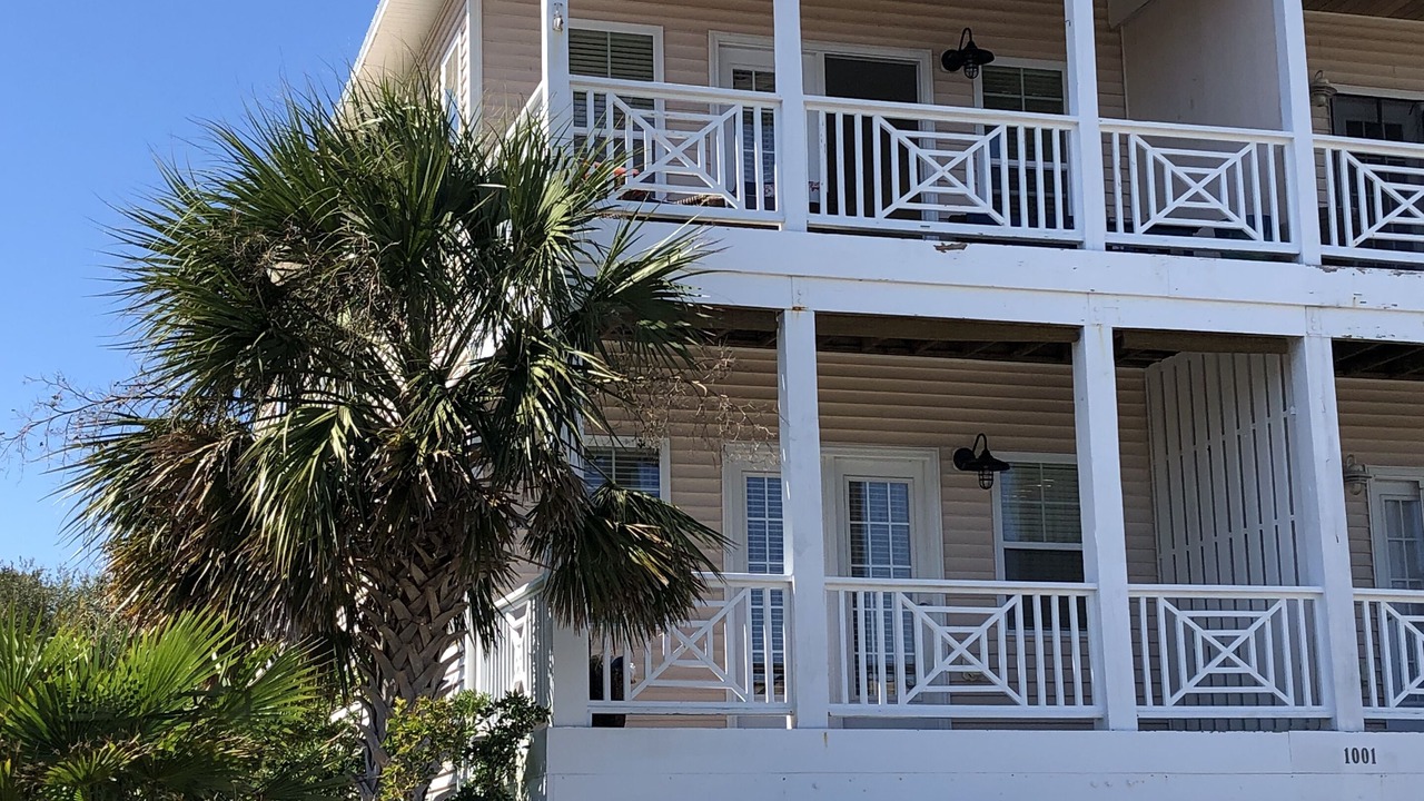 Photo of Outdoor in North Carolina Coast