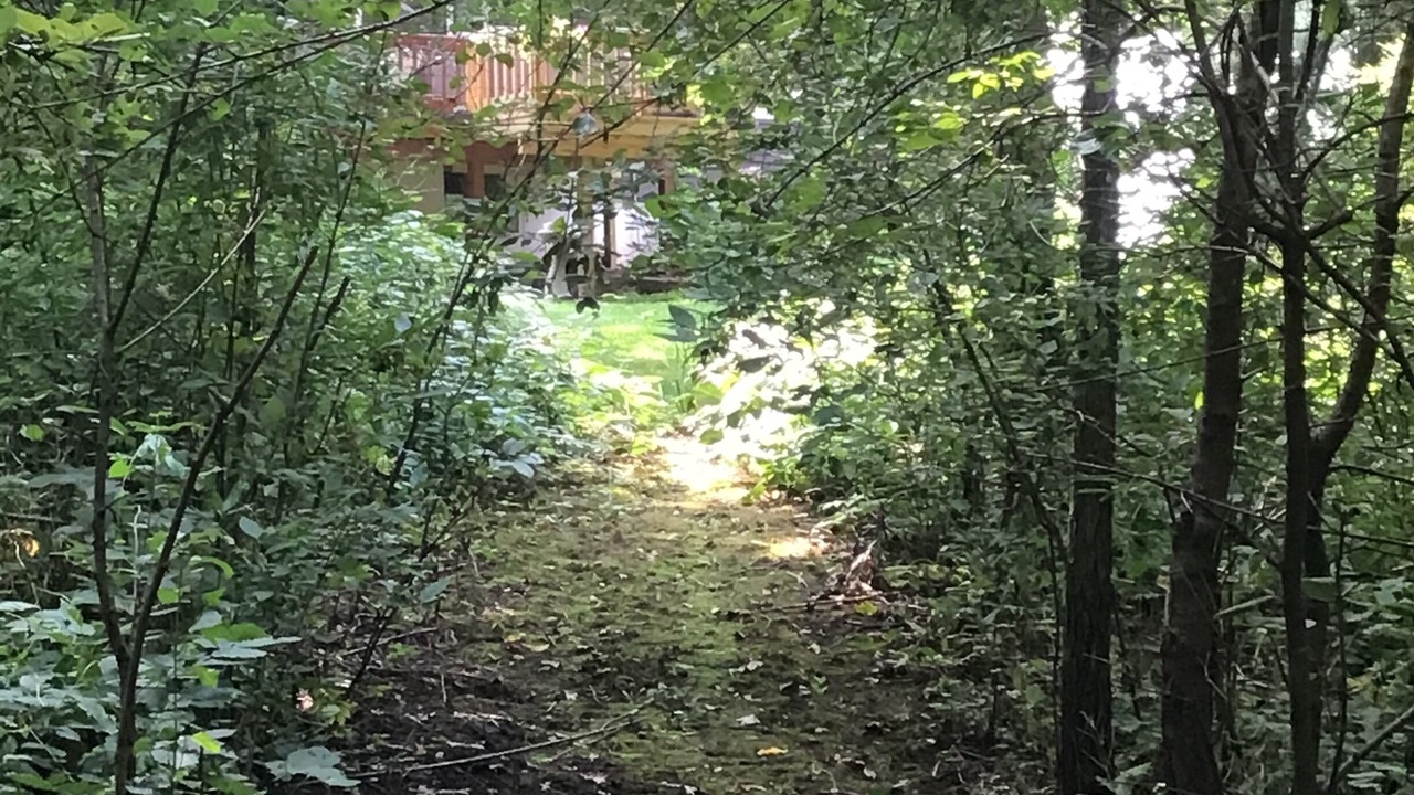 Photo of Outdoor in Green County