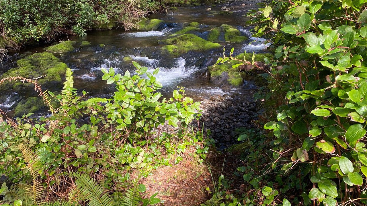 Photo of Others in Yachats