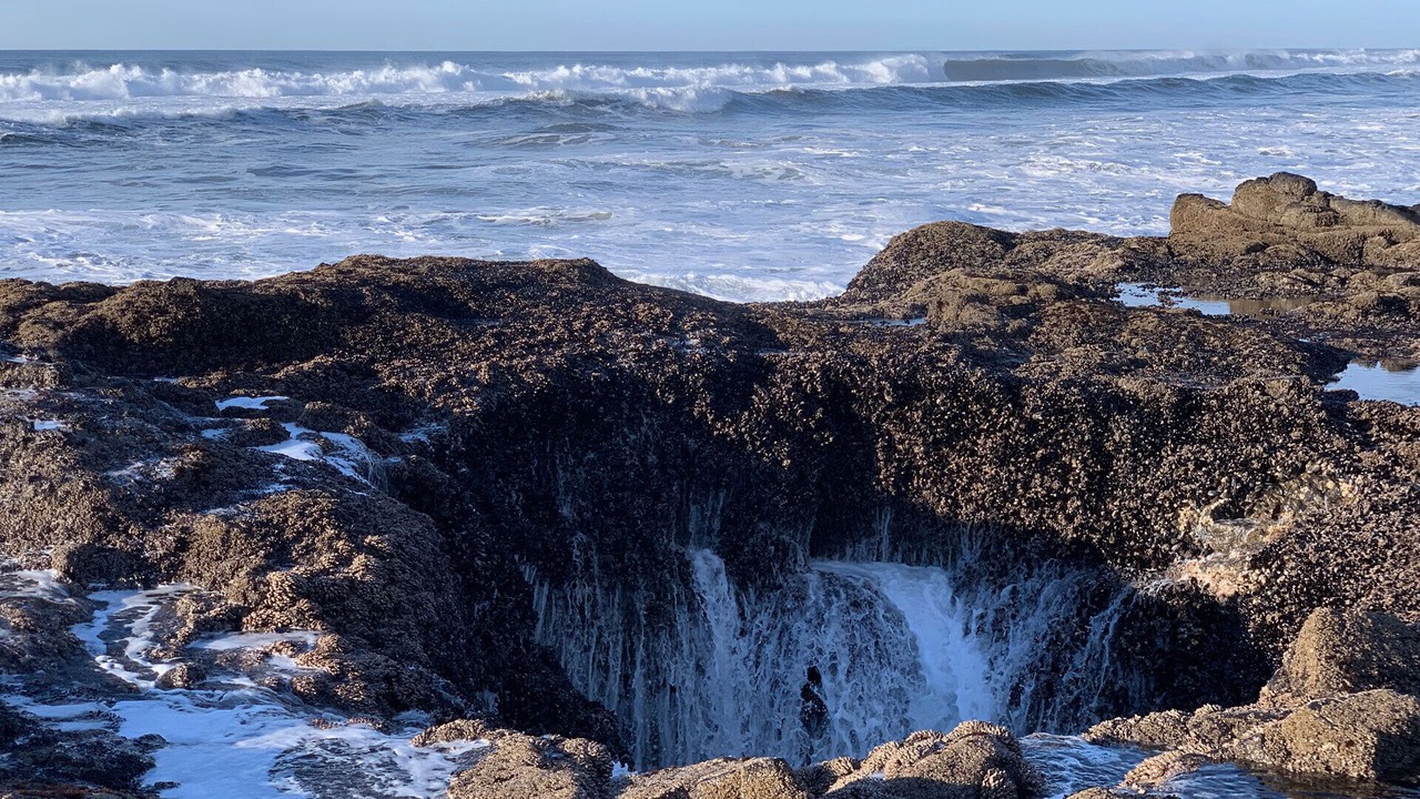 Photo of Others in Yachats