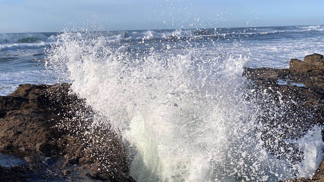 Photo of Others in Yachats