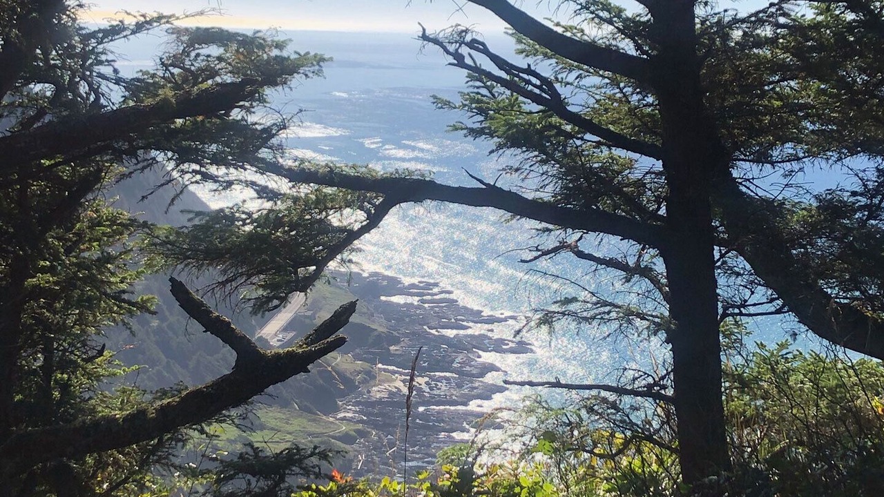 Photo of Others in Yachats