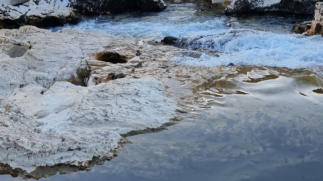 Photo of Others in La Roque-sur-Ceze