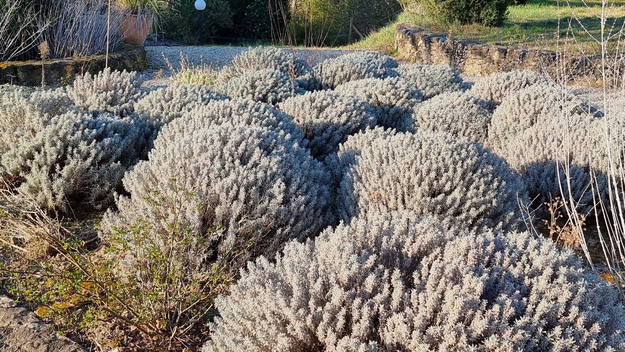 Photo of Outdoor in La Roque-sur-Ceze