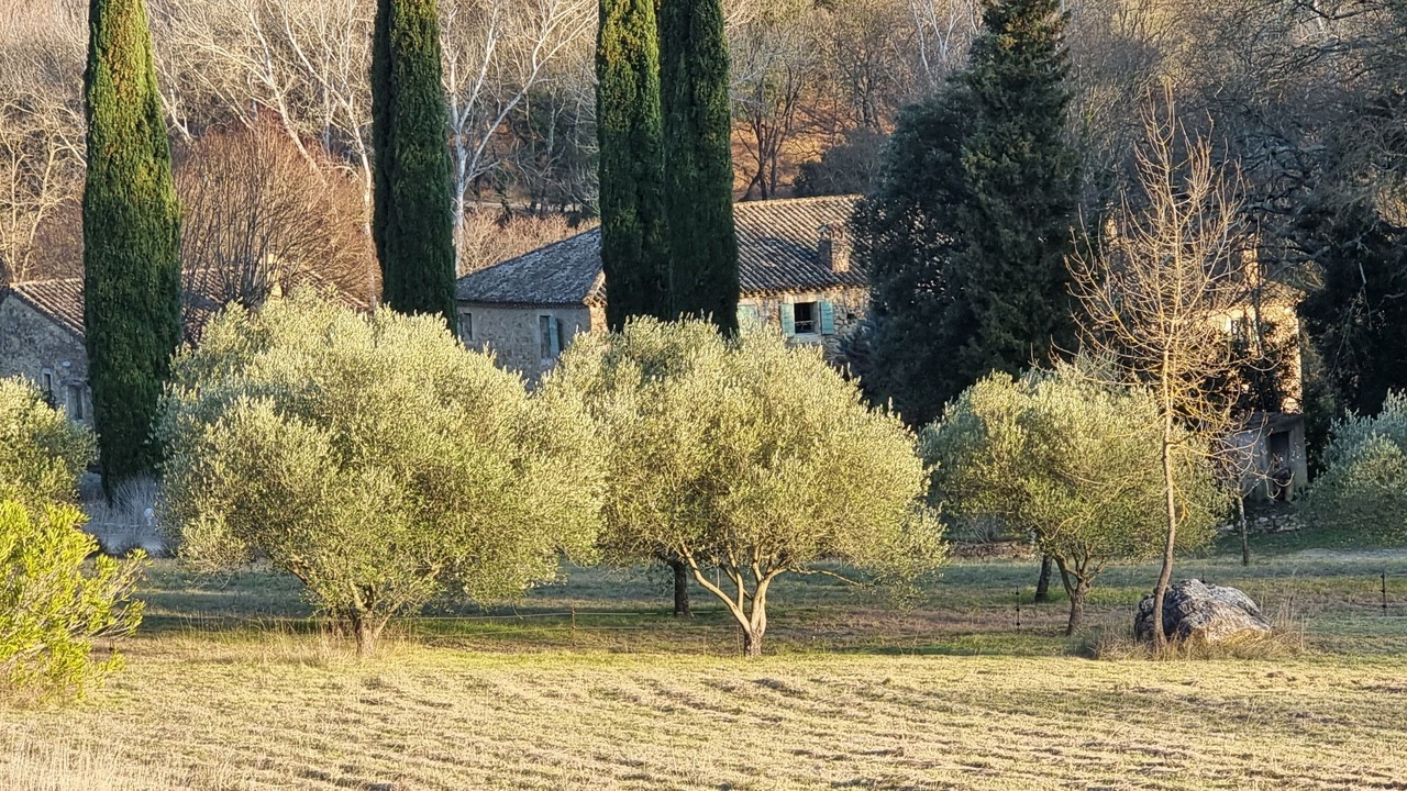 Photo of Outdoor in La Roque-sur-Ceze