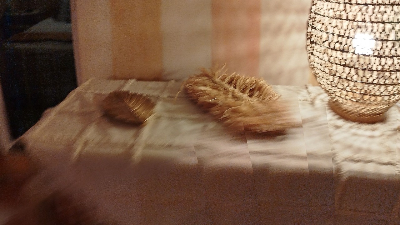 Photo of Others in La Roque-sur-Ceze