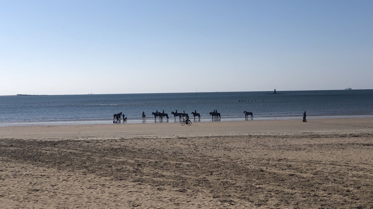Photo of Others in Guerande