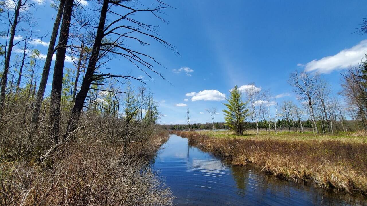Photo of Outdoor in Bitely