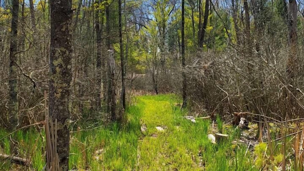 Photo of Outdoor in Bitely