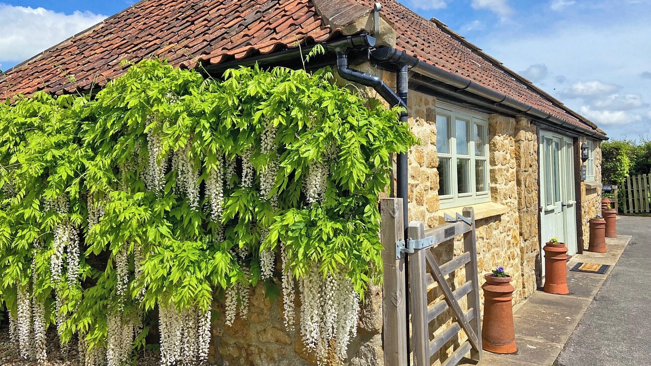 Photo of Outdoor in Donyatt