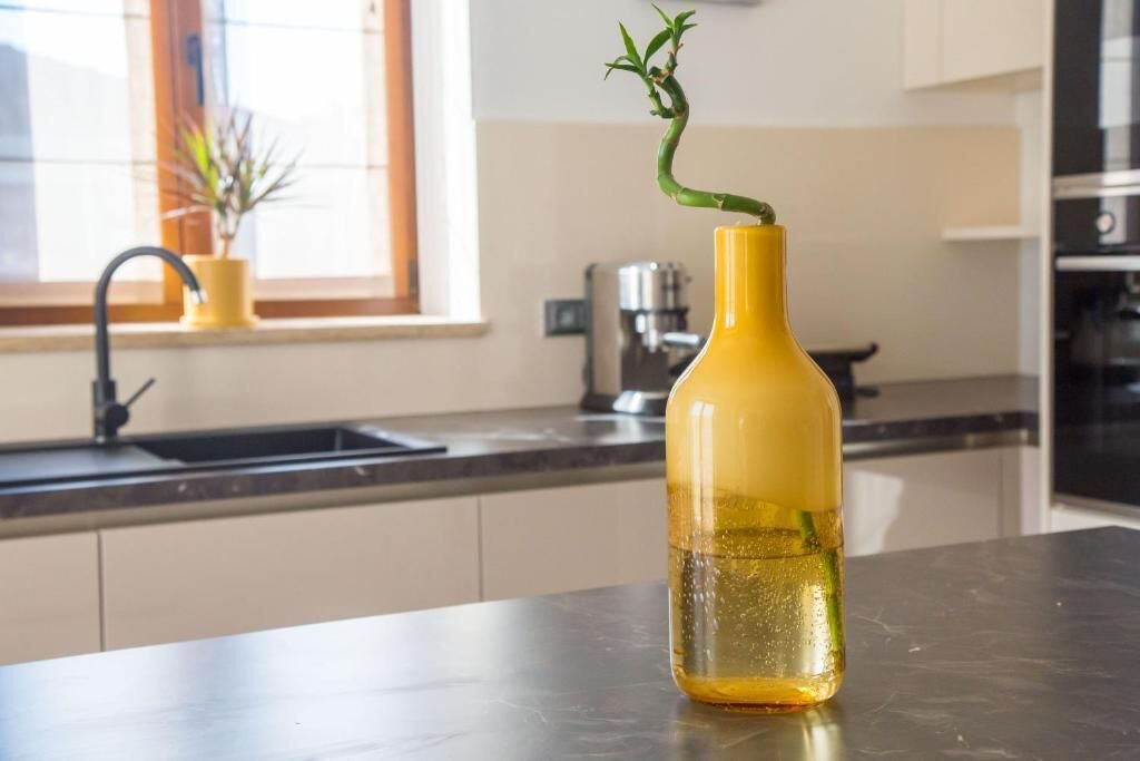 Photo of Kitchen in Porec