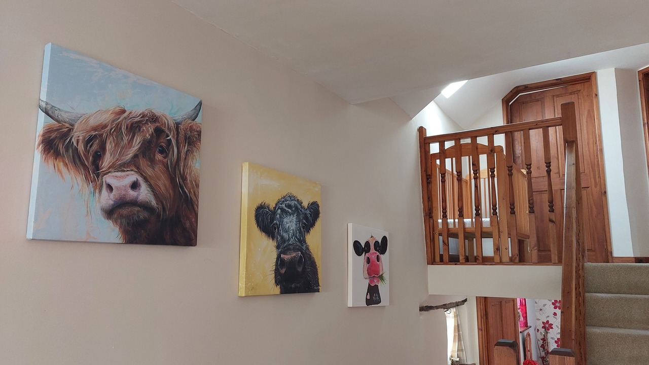 Photo of Others in Barnstaple