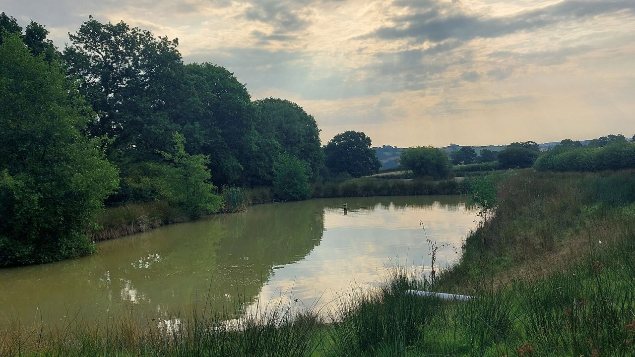 Photo of Others in Barnstaple