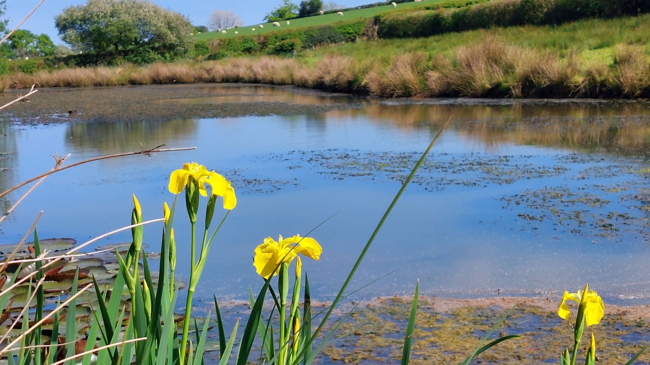 Photo of Outdoor in Barnstaple