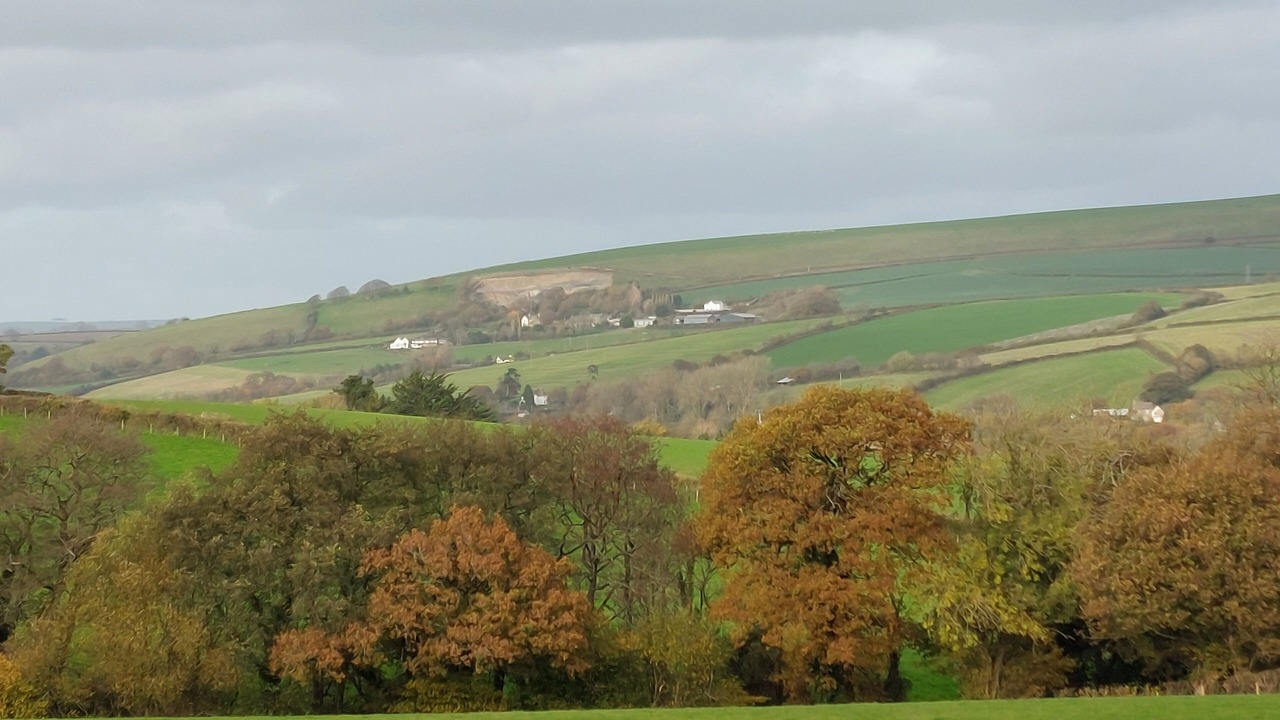 Photo of Others in Barnstaple