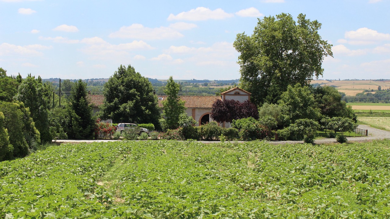 Photo of Outdoor in Montlaur