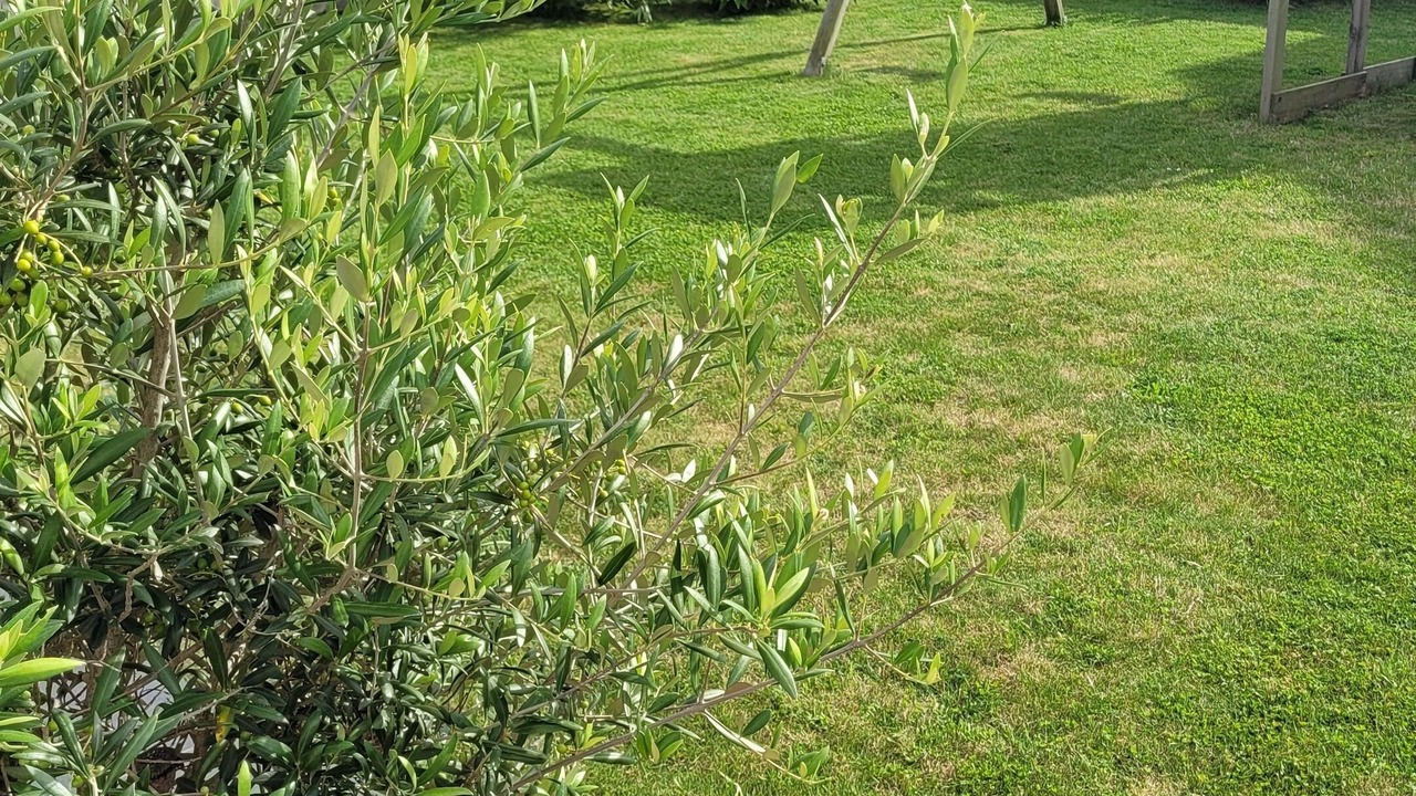 Photo of Outdoor in Graye-sur-Mer