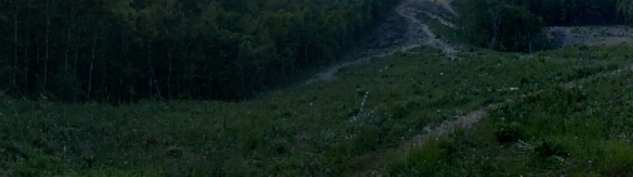 Photo of Outdoor in Floyd