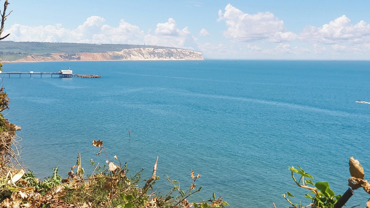 Photo of Others in Lake