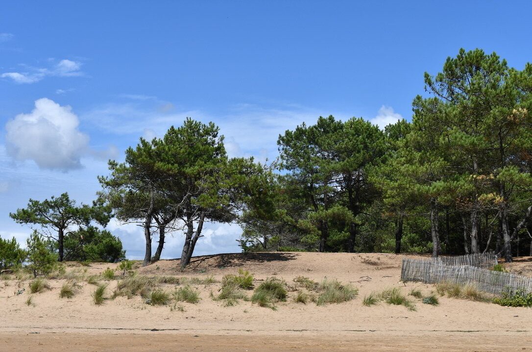 Photo of Others in Jard-sur-Mer