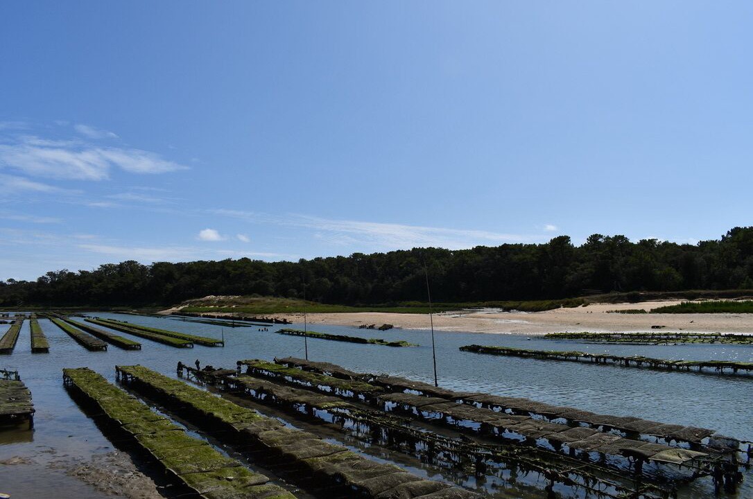 Photo of Outdoor in Jard-sur-Mer