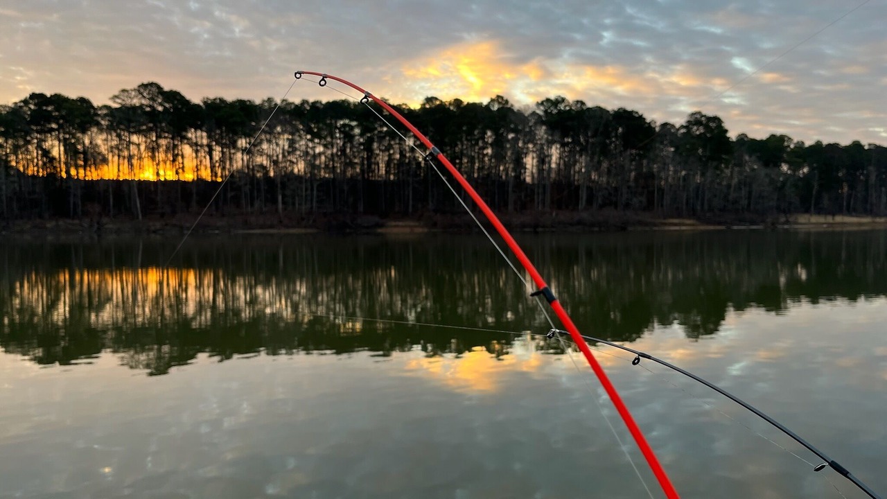 Photo of Outdoor in Broaddus
