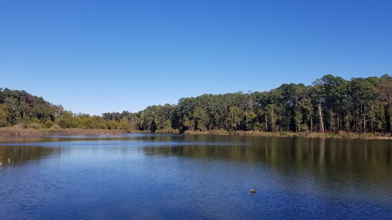 Photo of Outdoor in Broaddus