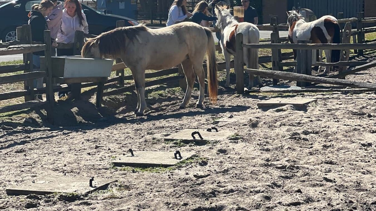 Photo of Others in Chincoteague