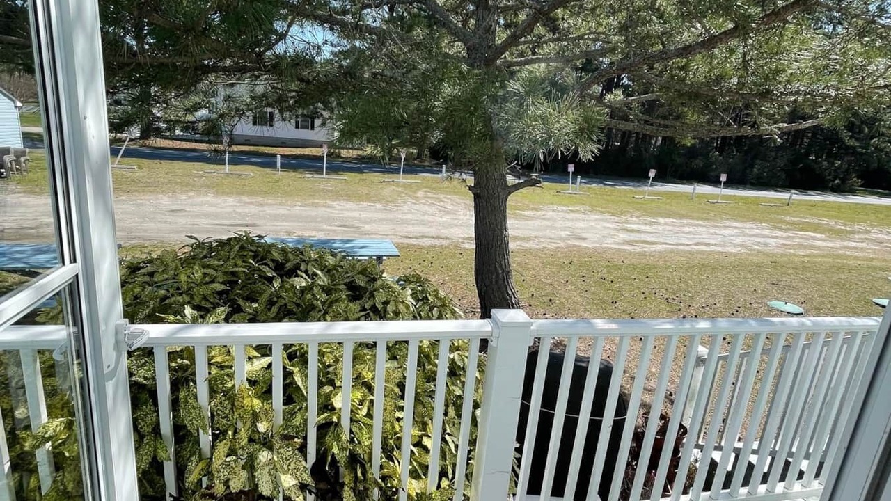 Photo of Others in Chincoteague