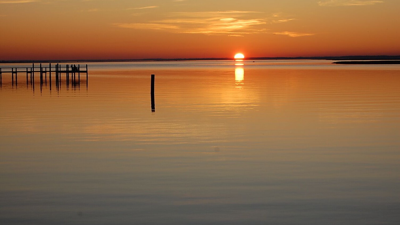 Photo of Others in Chincoteague