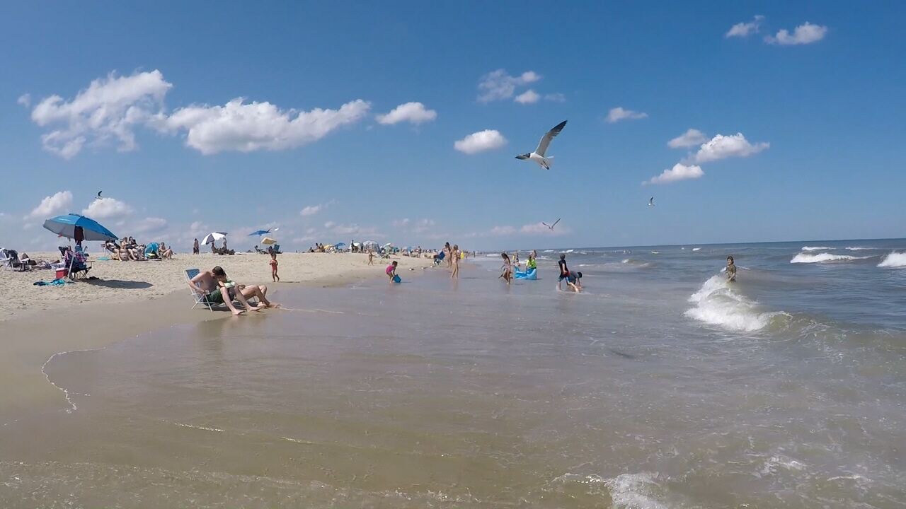 Photo of Others in Chincoteague
