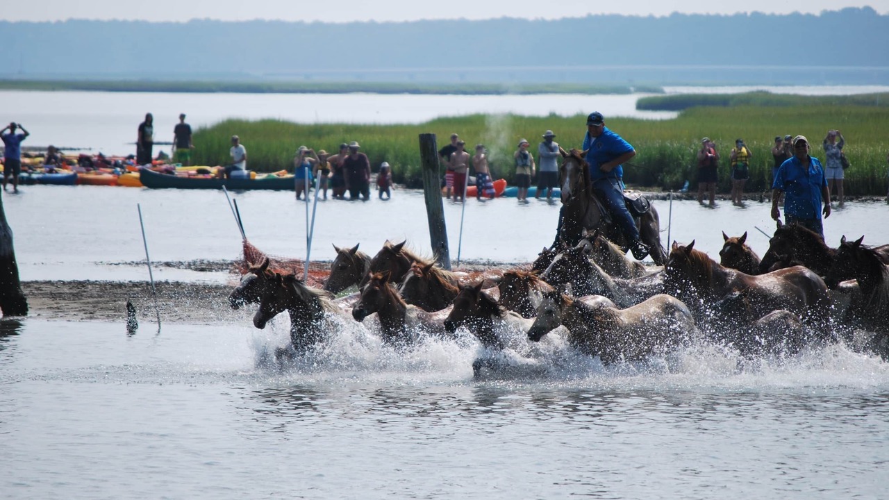 Photo of Others in Chincoteague