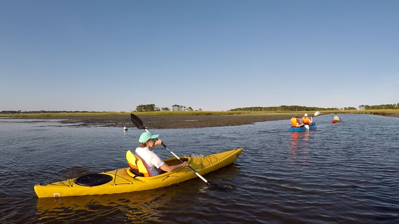 Photo of Others in Chincoteague