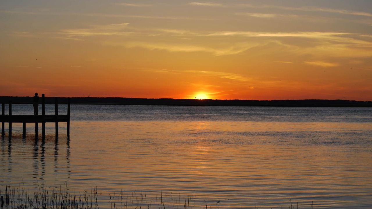 Photo of Others in Chincoteague