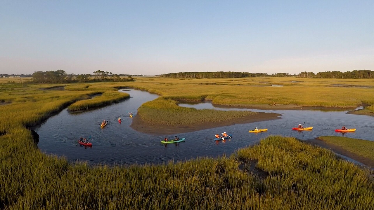 Photo of Others in Chincoteague
