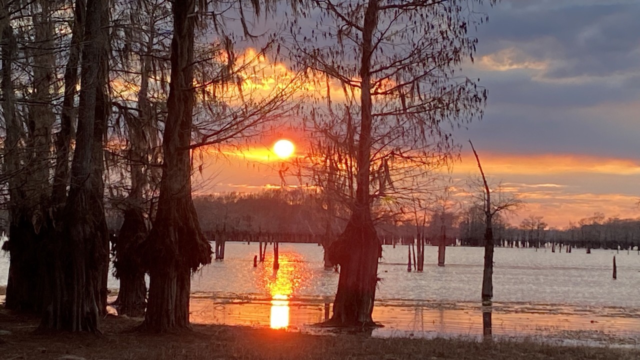 Photo of Others in Heflin