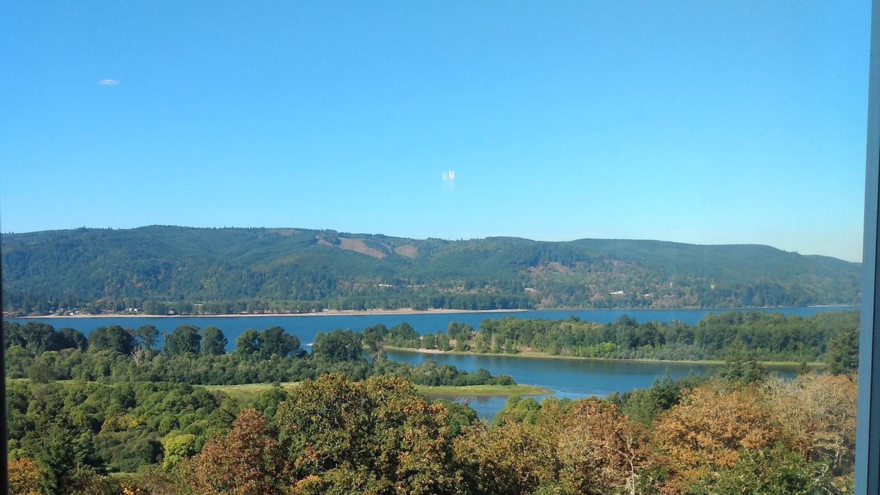 Photo of Others in Carrolls