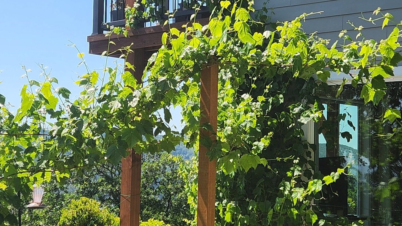 Photo of Outdoor in Carrolls