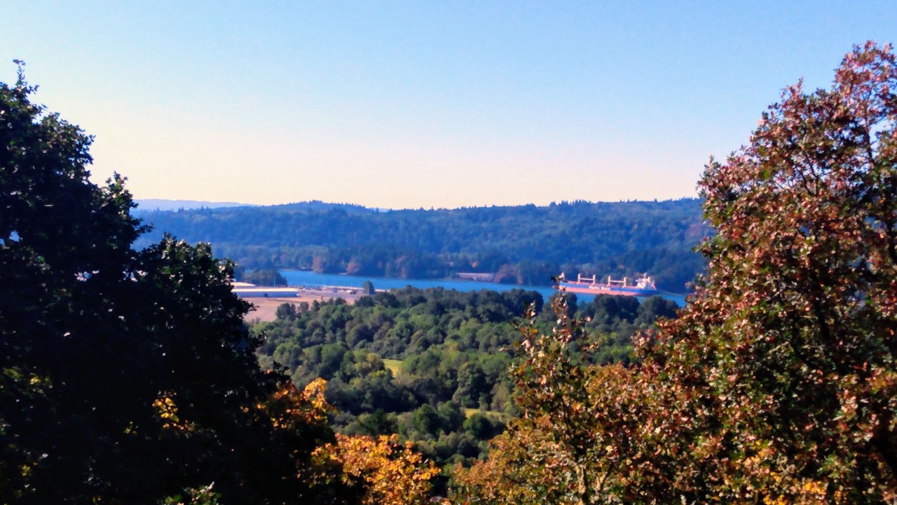 Photo of Others in Carrolls